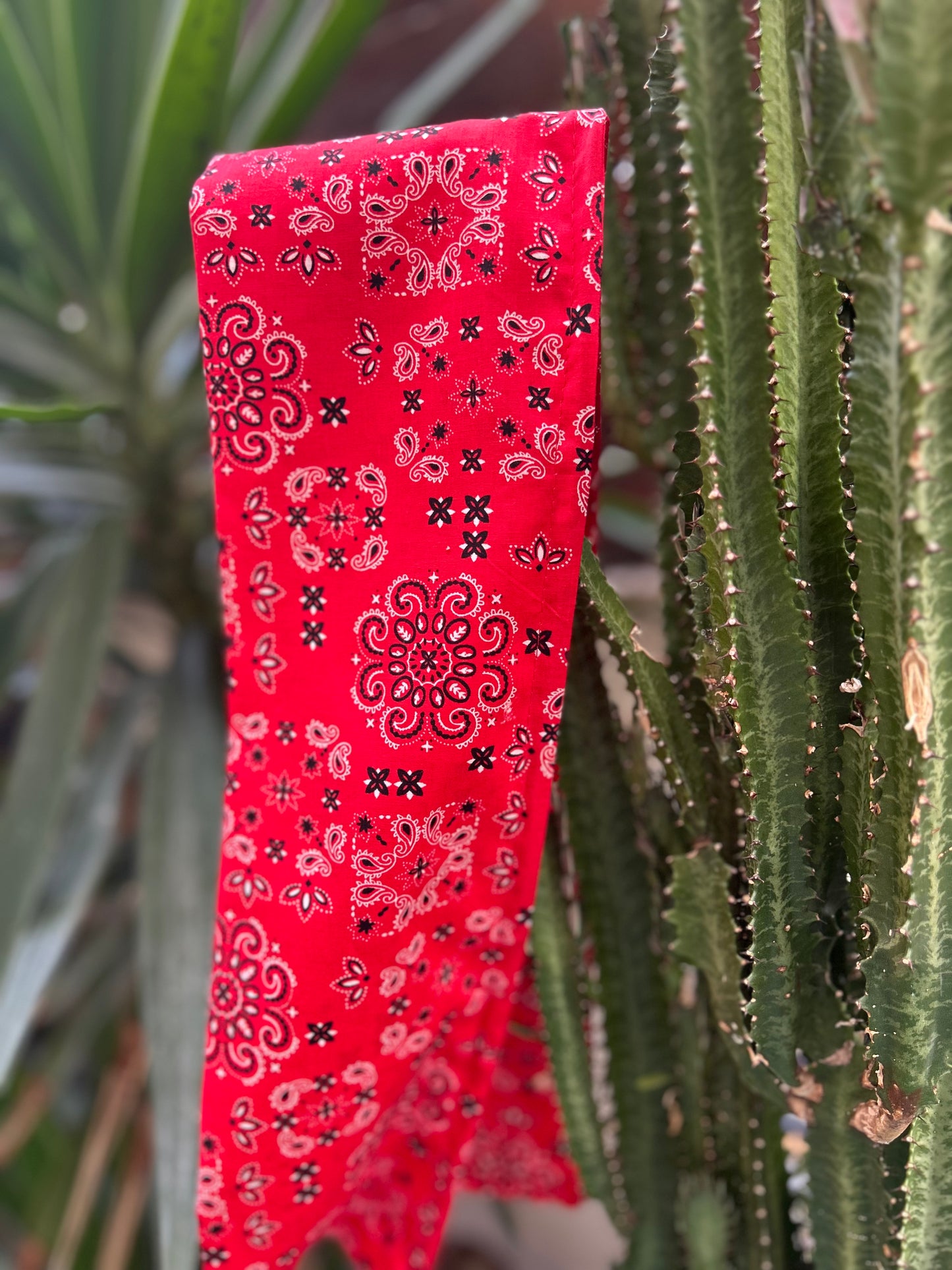 BANDANA
